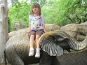 Alex_DZoo_Safari-I (29)